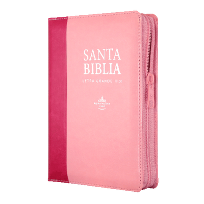 Biblia Reina Valera 1960 046 Letra Grande
