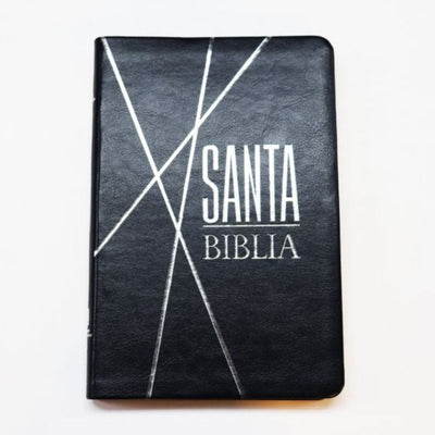 Biblia Reina Valera 1960 Letra Mediana Color Negro Canto Pintando