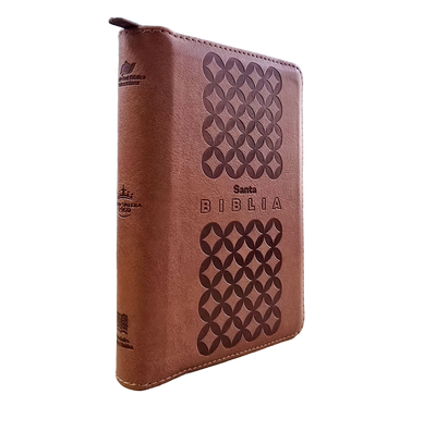Biblia mediana RVR Letra Grande PJR Color Café Con Ayudas Digitales
