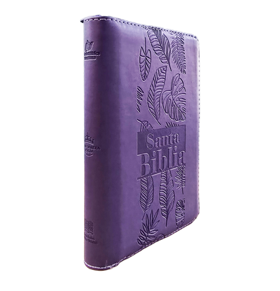 Biblia mediana RVR Letra Grande PJR Color Lila Con Ayudas Digitales