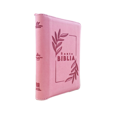 Biblia mediana RVR Letra Grande PJR Color Rosado Con Ayudas Digitales