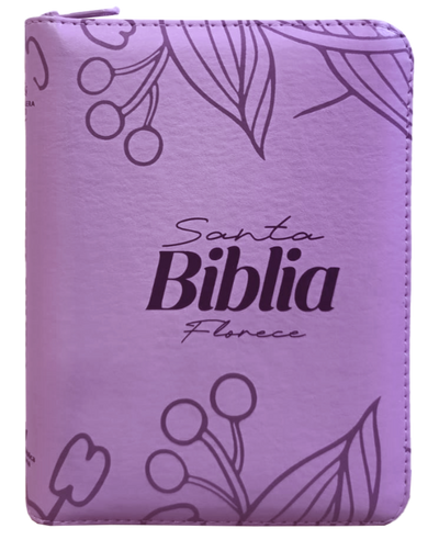 Biblia Reina Valera 1960 mediana RVR Letra Grande PJR Color Lila Con Ayudas Digitales
