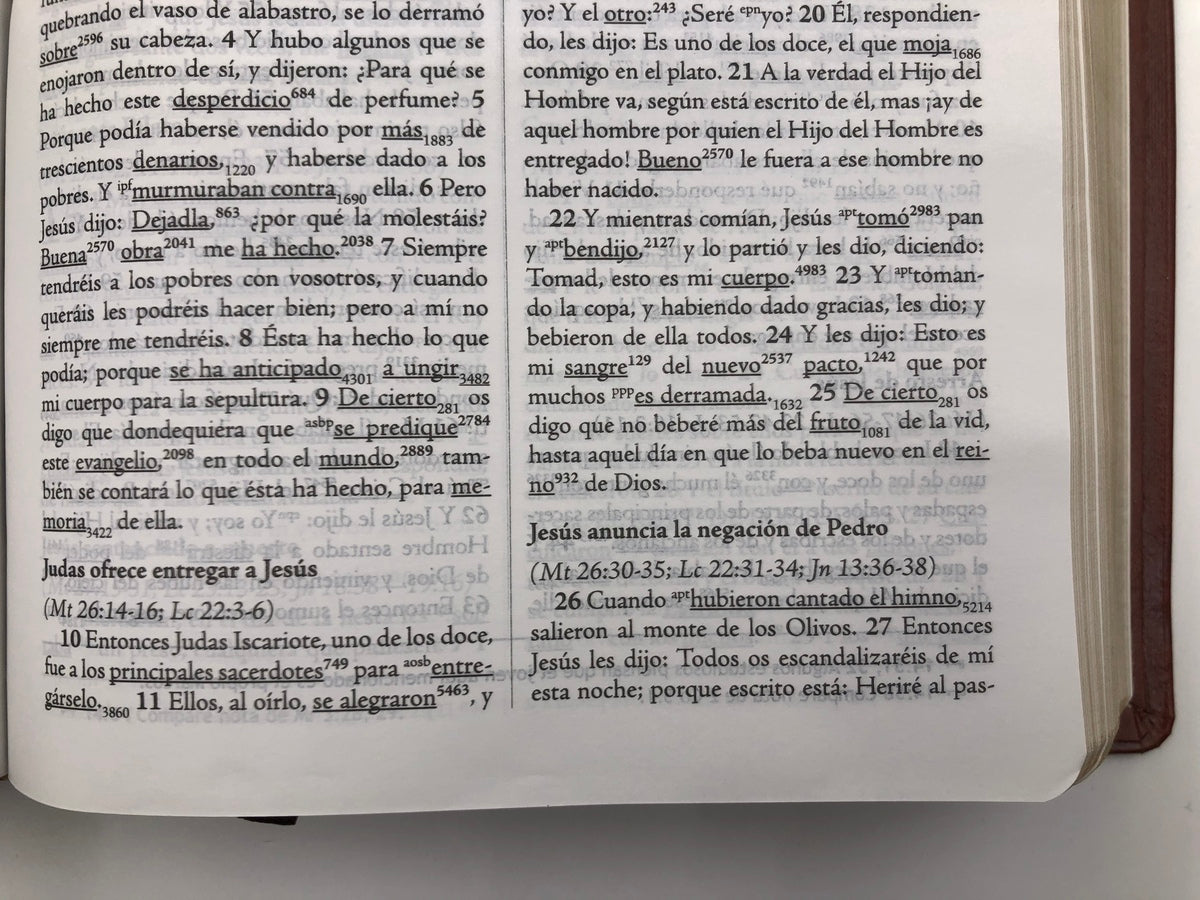 Biblia de Estudio Palabra Clave RVR60 – Piel Especial Marrón