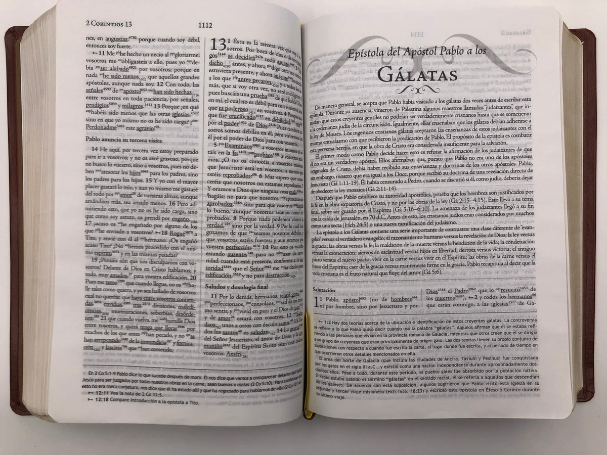 Biblia de Estudio Palabra Clave RVR60 – Piel Especial Marrón