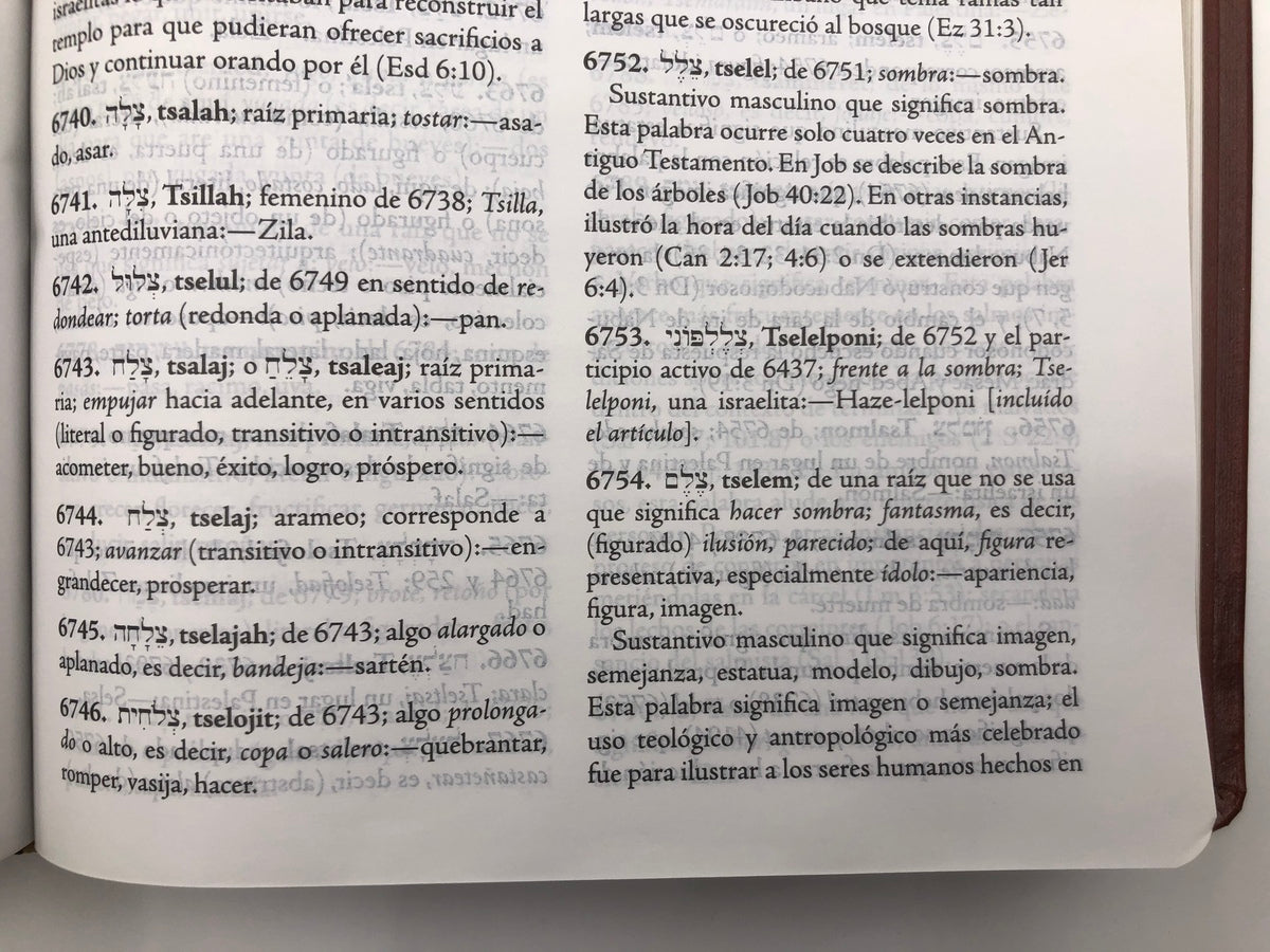 Biblia de Estudio Palabra Clave RVR60 – Piel Especial Marrón
