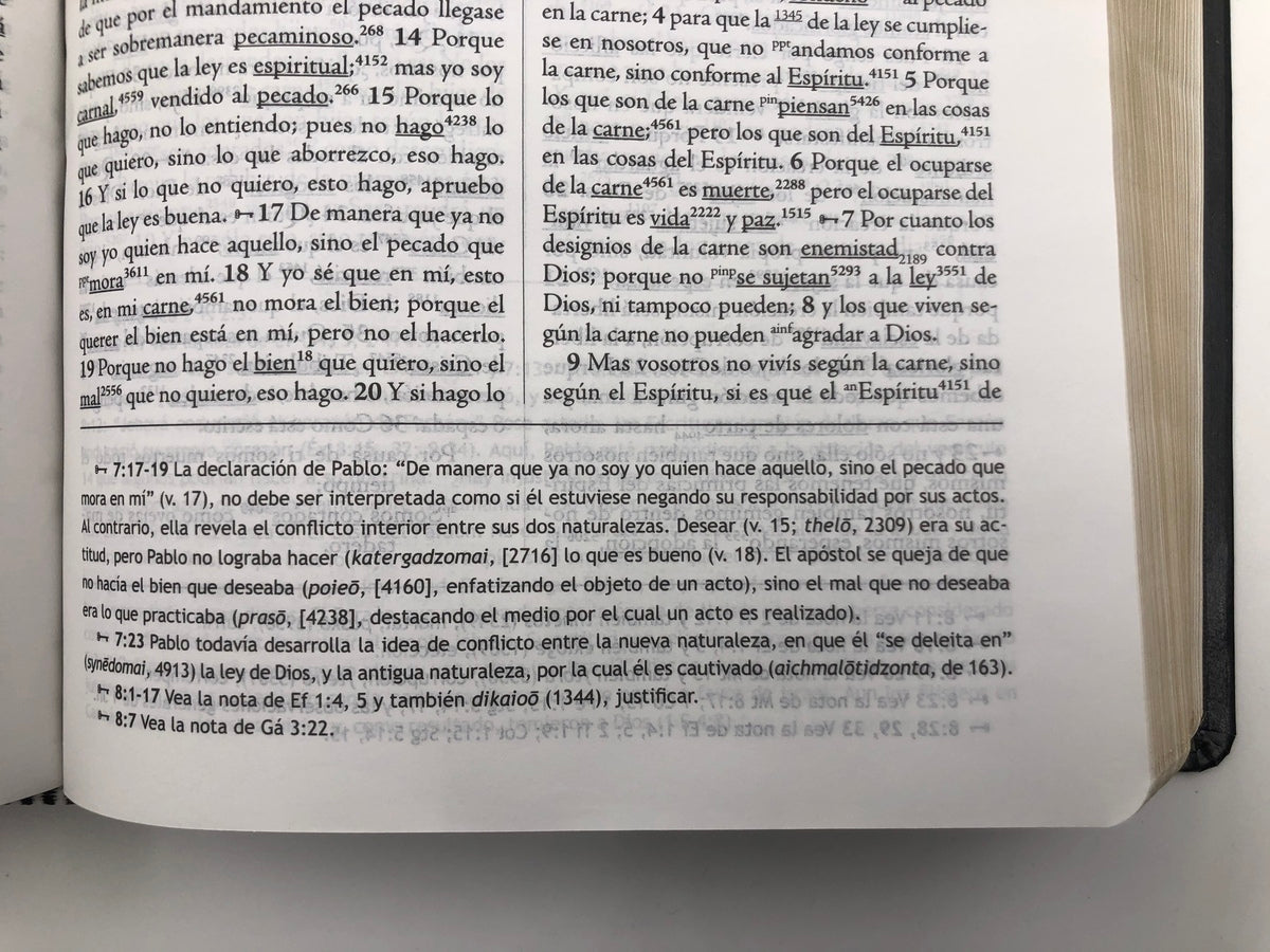 Biblia de Estudio Palabra Clave RVR60 – Piel Especial Negro