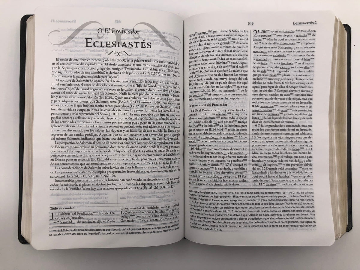 Biblia de Estudio Palabra Clave RVR60 – Piel Especial Negro