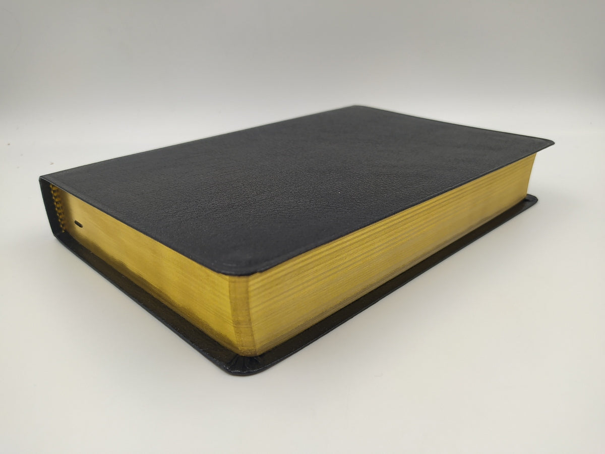Biblia de Estudio Plenitud RVR60 | Piel Elaborada