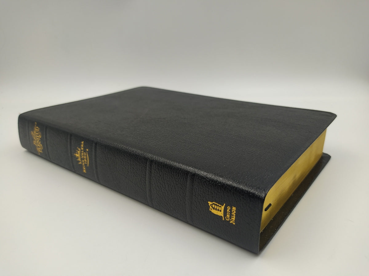 Biblia de Estudio Plenitud RVR60 | Piel Elaborada