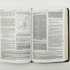 Biblia de Estudio Plenitud RVR60 | Piel Elaborada
