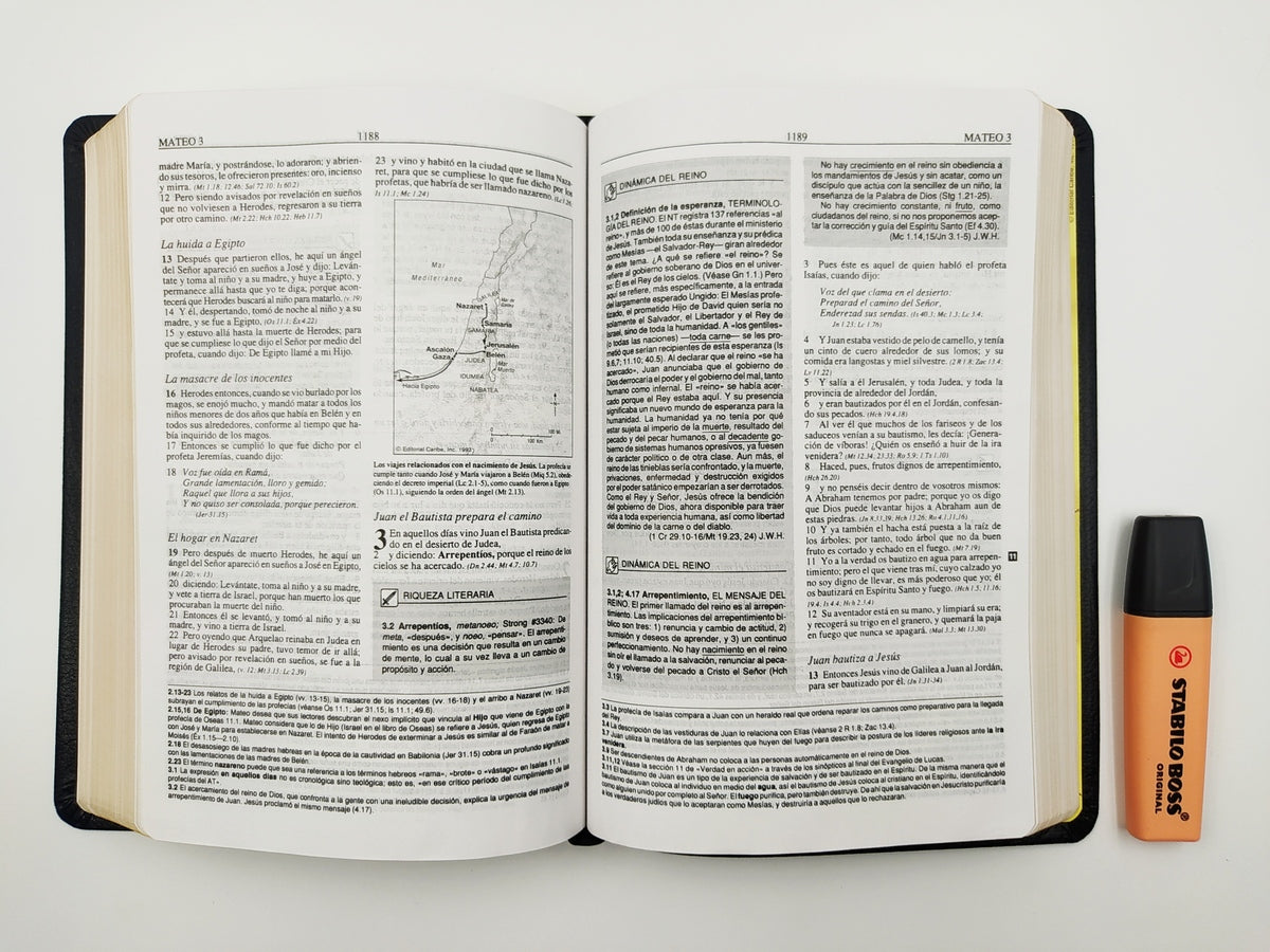 Biblia de Estudio Plenitud RVR60 | Piel Elaborada