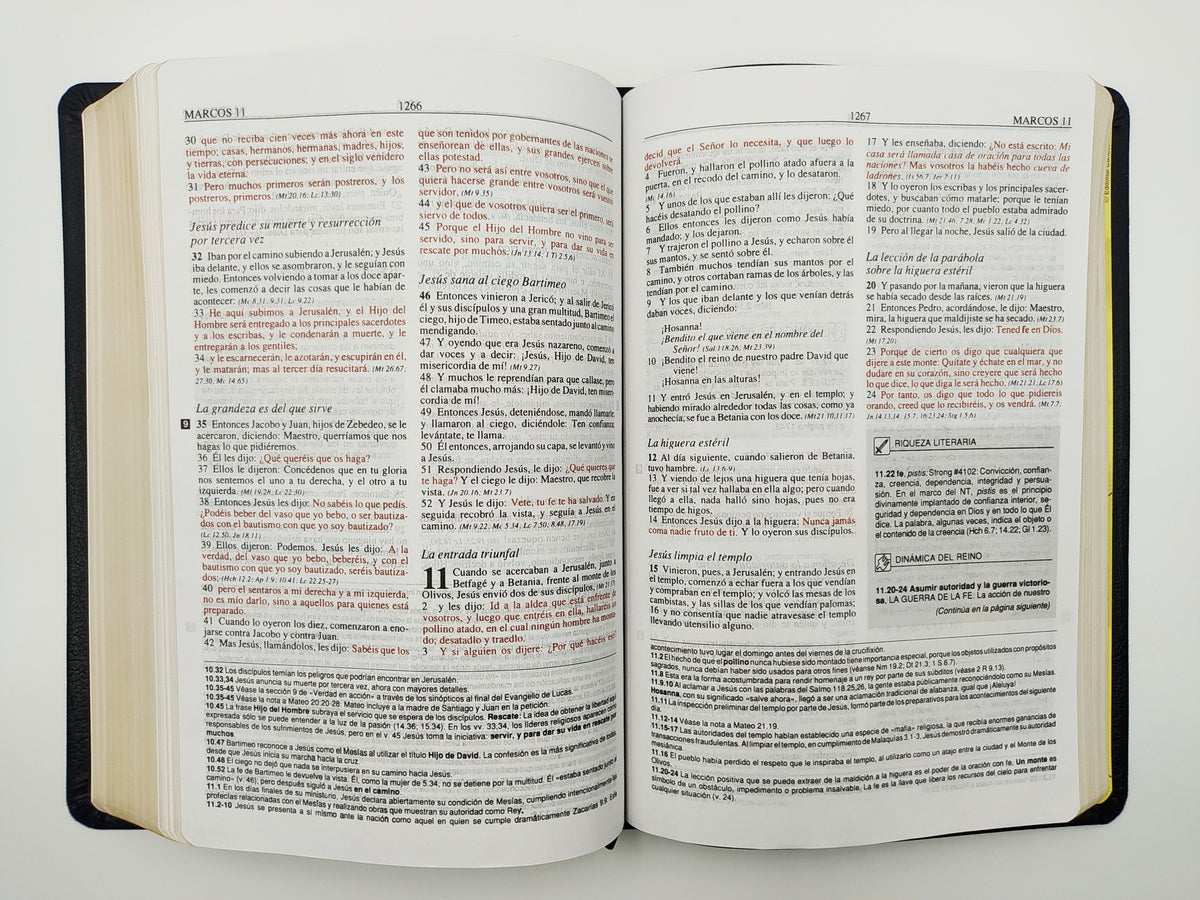 Biblia de Estudio Plenitud RVR60 | Piel Elaborada