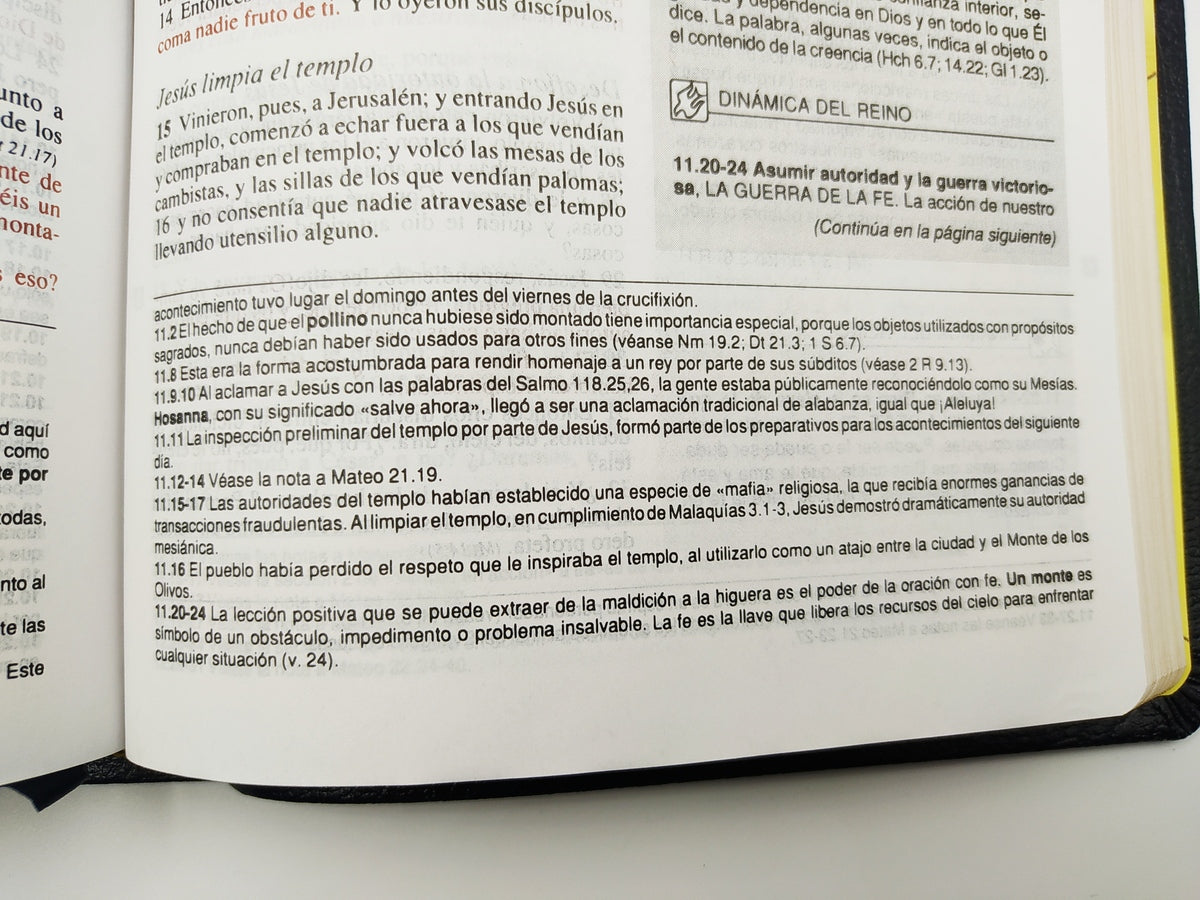 Biblia de Estudio Plenitud RVR60 | Piel Elaborada