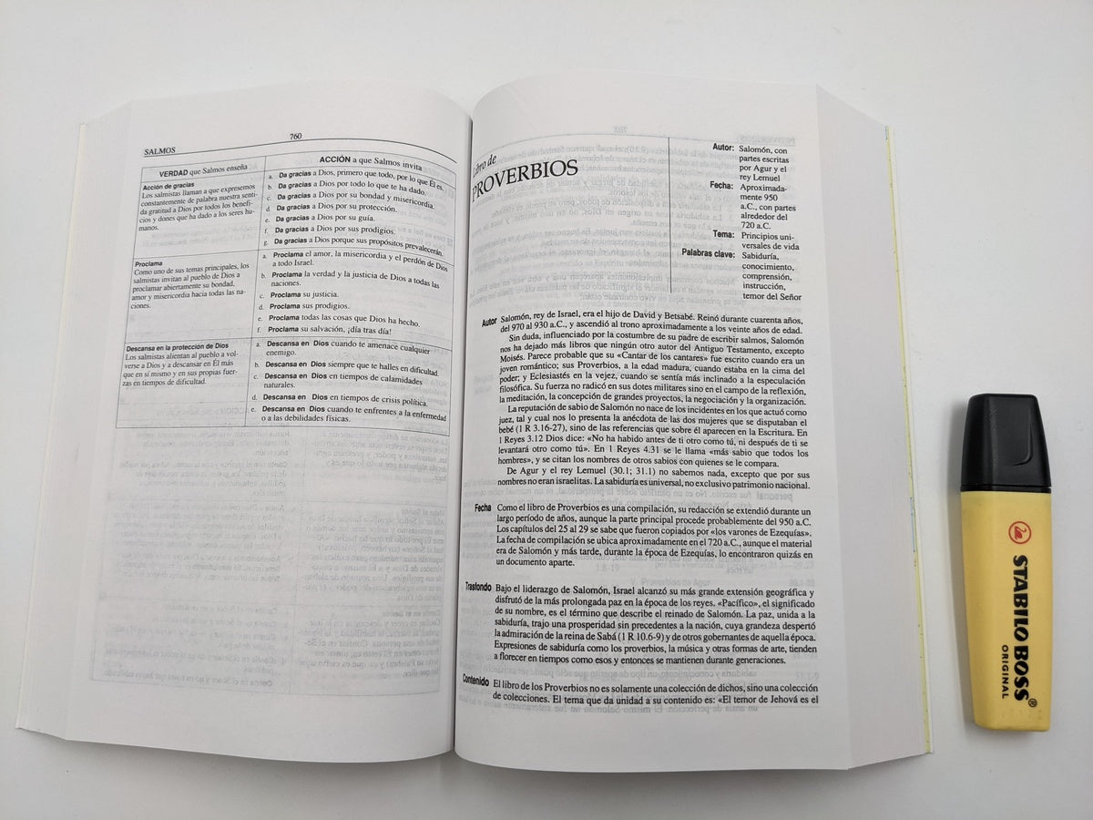 Biblia de Estudio Plenitud RVR60 | Tamaño Manual | Tapa Rústica