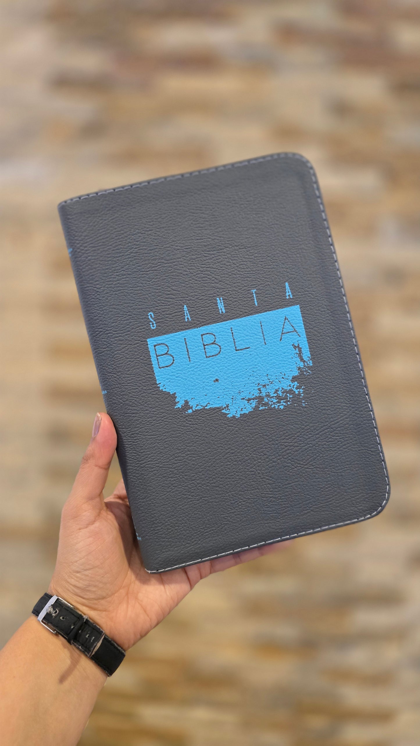 BIBLIA RVR065ueZ GRIS SCREEN AZUL