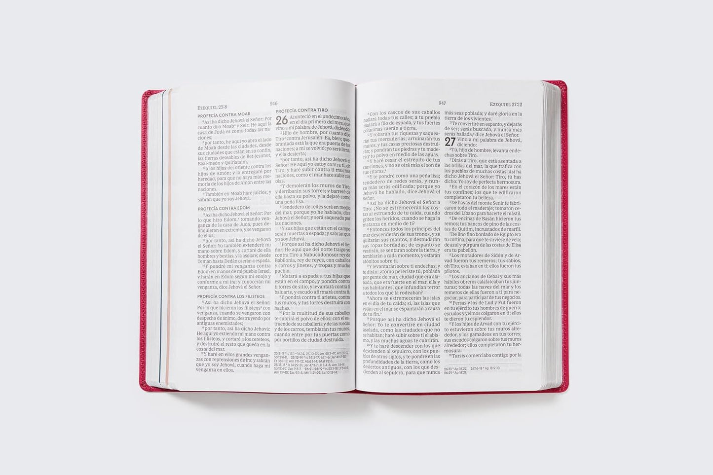 Biblia RVR60 de la Mamá Ocupada | Magenta | Inspiración diaria en minutos