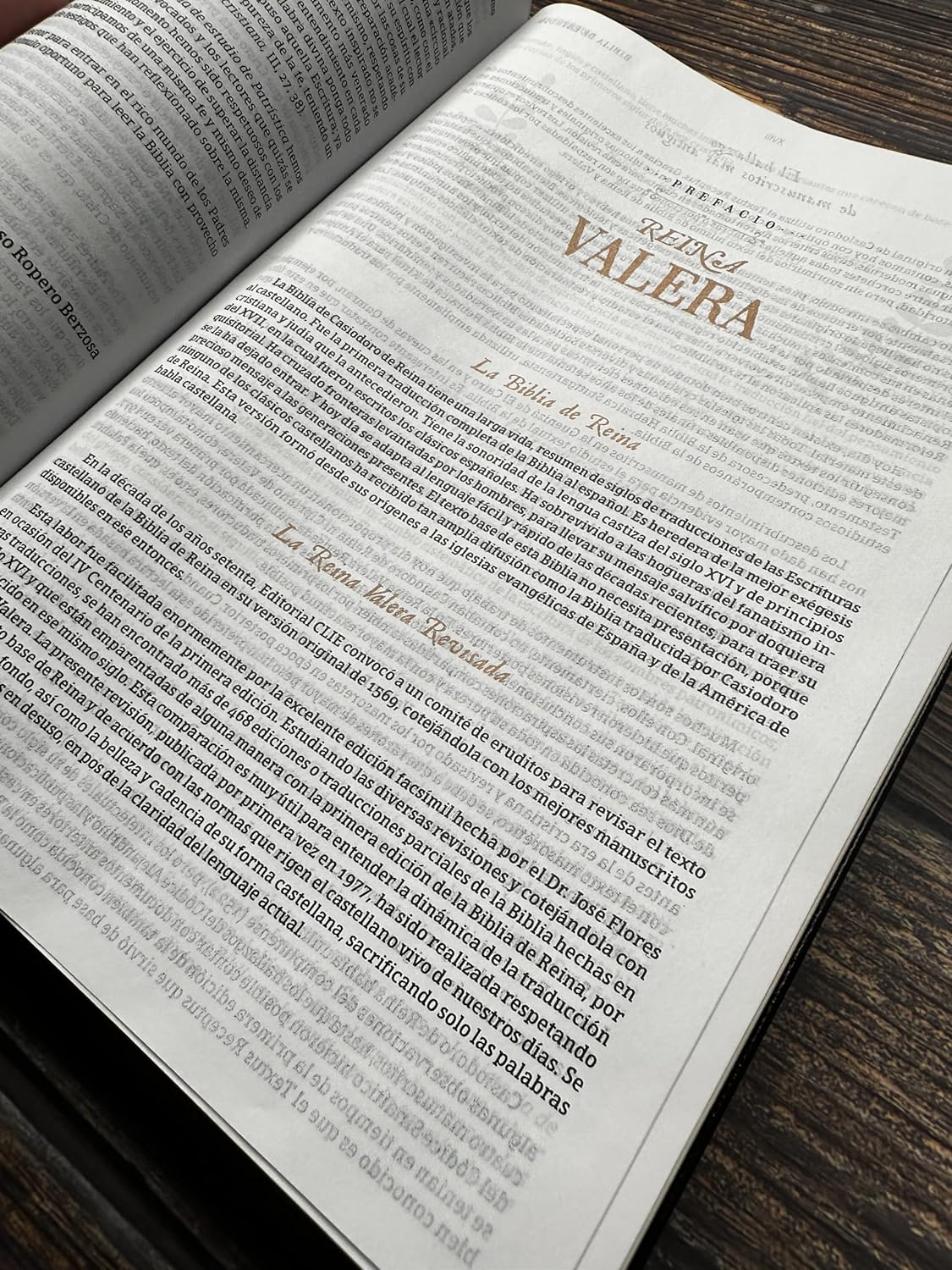 Biblia RVR60 de Estudio Patrística – La sabiduría del Cristianismo Antiguo (Índice Café)