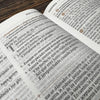 Biblia RVR60 de Estudio Patrística – La sabiduría del Cristianismo Antiguo (Índice Café)