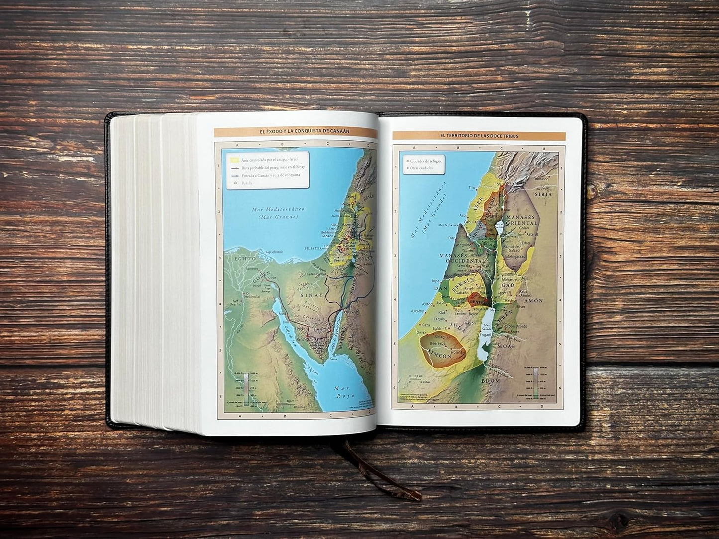 Biblia RVR60 de Estudio Patrística – La sabiduría del Cristianismo Antiguo