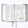 Biblia NBLA de Estudio Cronológica | Interior a cuatro colores