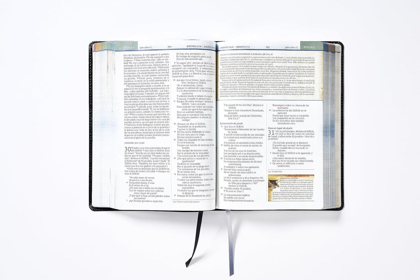 Biblia NBLA de Estudio Cronológica | Interior a cuatro colores