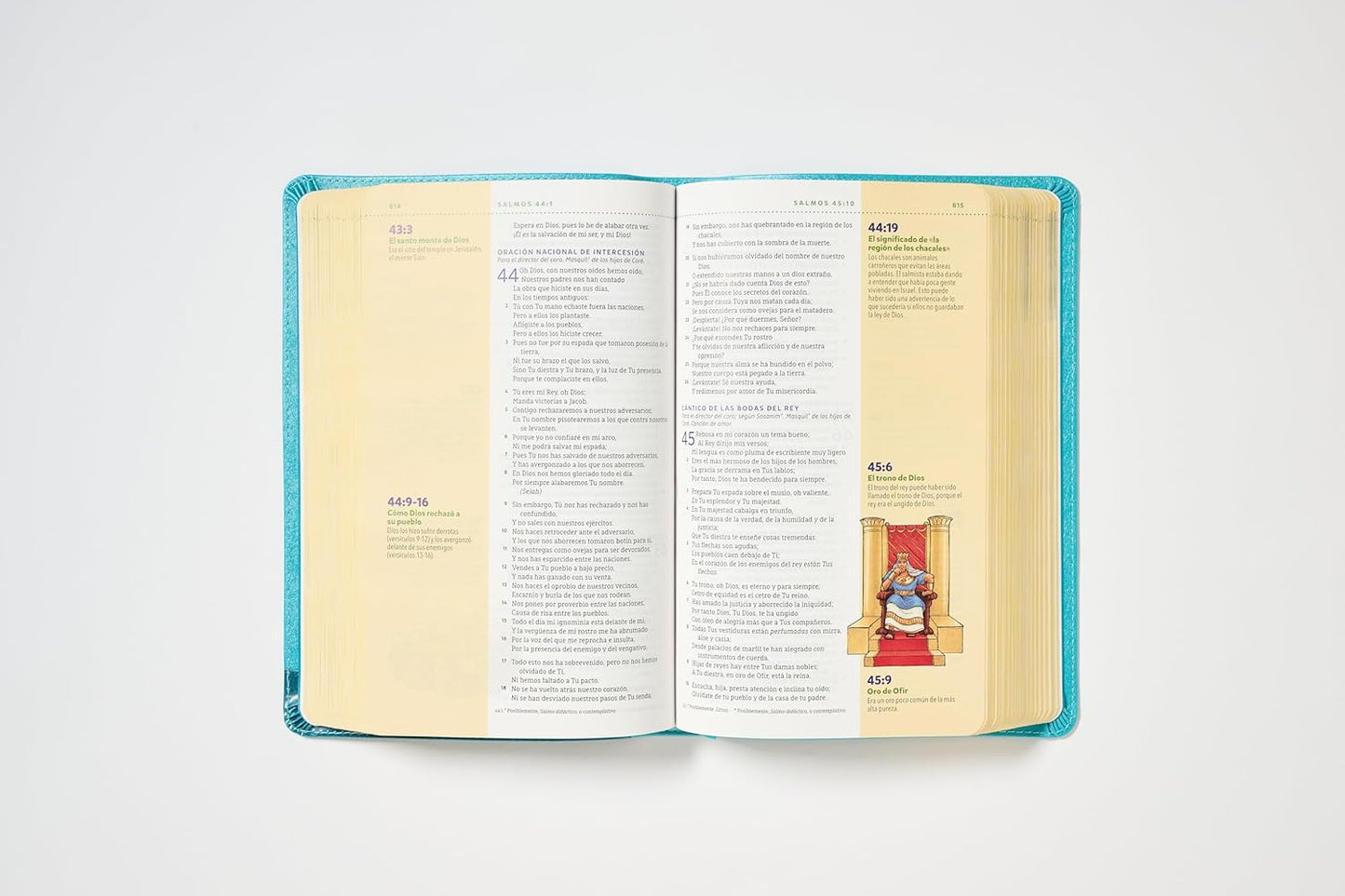 Biblia Visual de Estudio para Niñas NBLA - Imitación Piel Turquesa