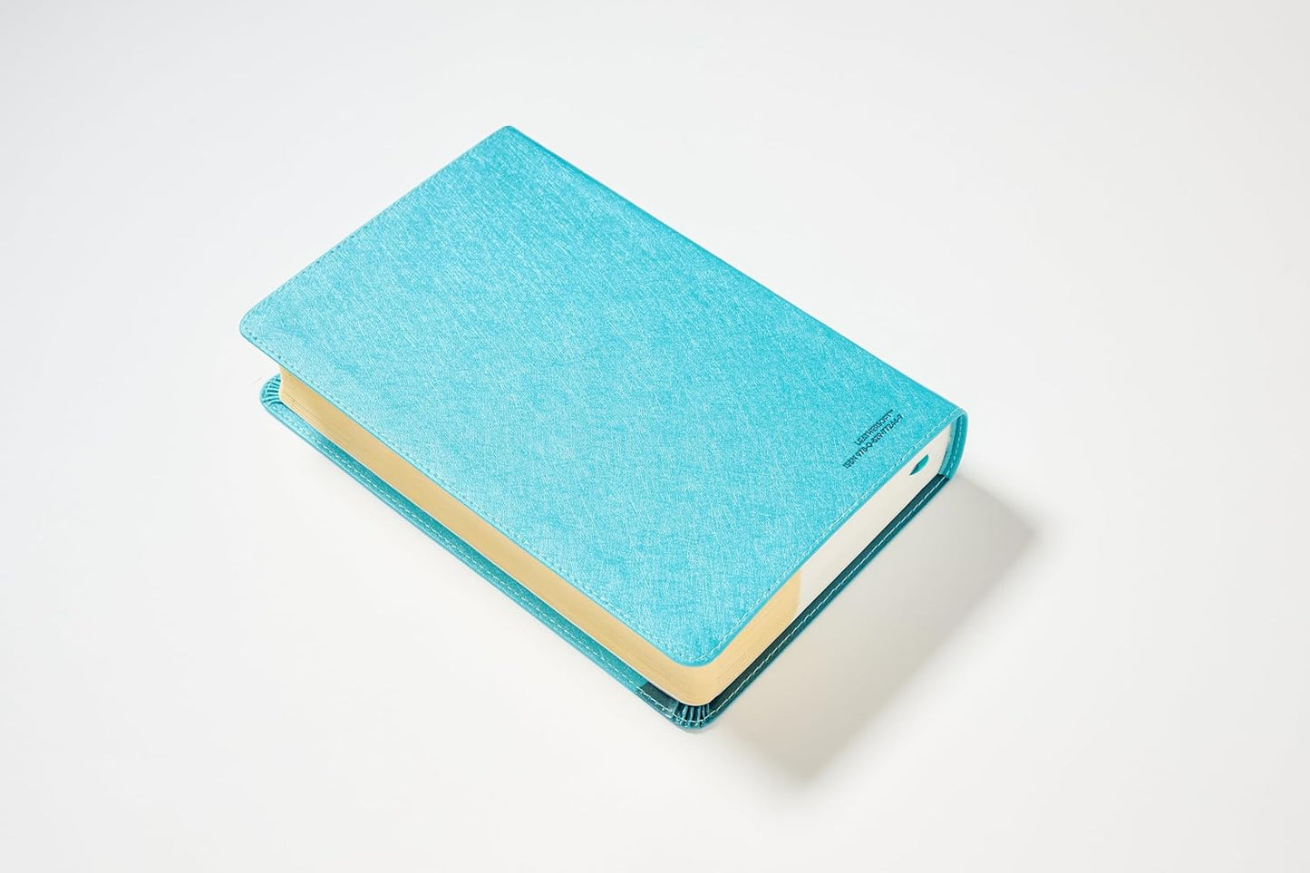 Biblia Visual de Estudio para Niñas NBLA - Imitación Piel Turquesa