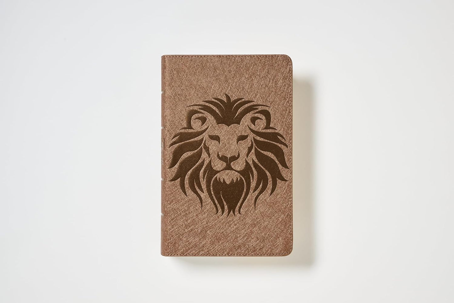 Biblia Visual de Estudio para Niños NBLA - Imitación Piel Café
