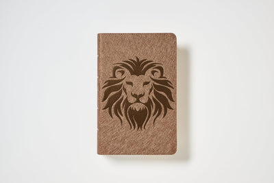 Biblia Visual de Estudio para Niños NBLA - Imitación Piel Café