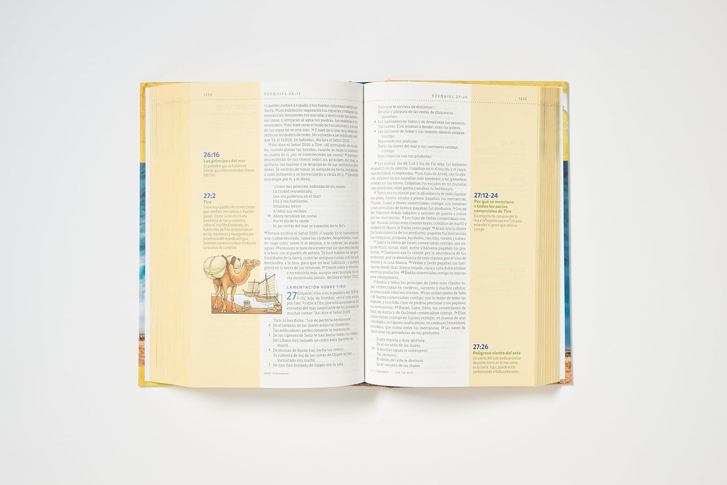 Biblia Visual de Estudio para Niños NBLA - Tapa Dura