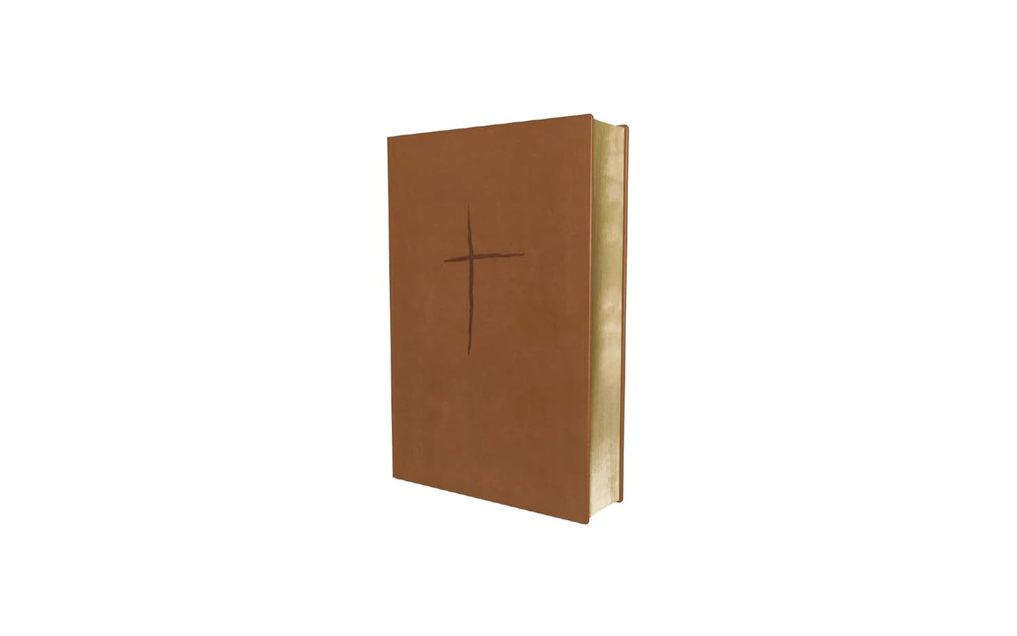 Biblia de Estudio Plenitud RVR60 | Tamaño Personal