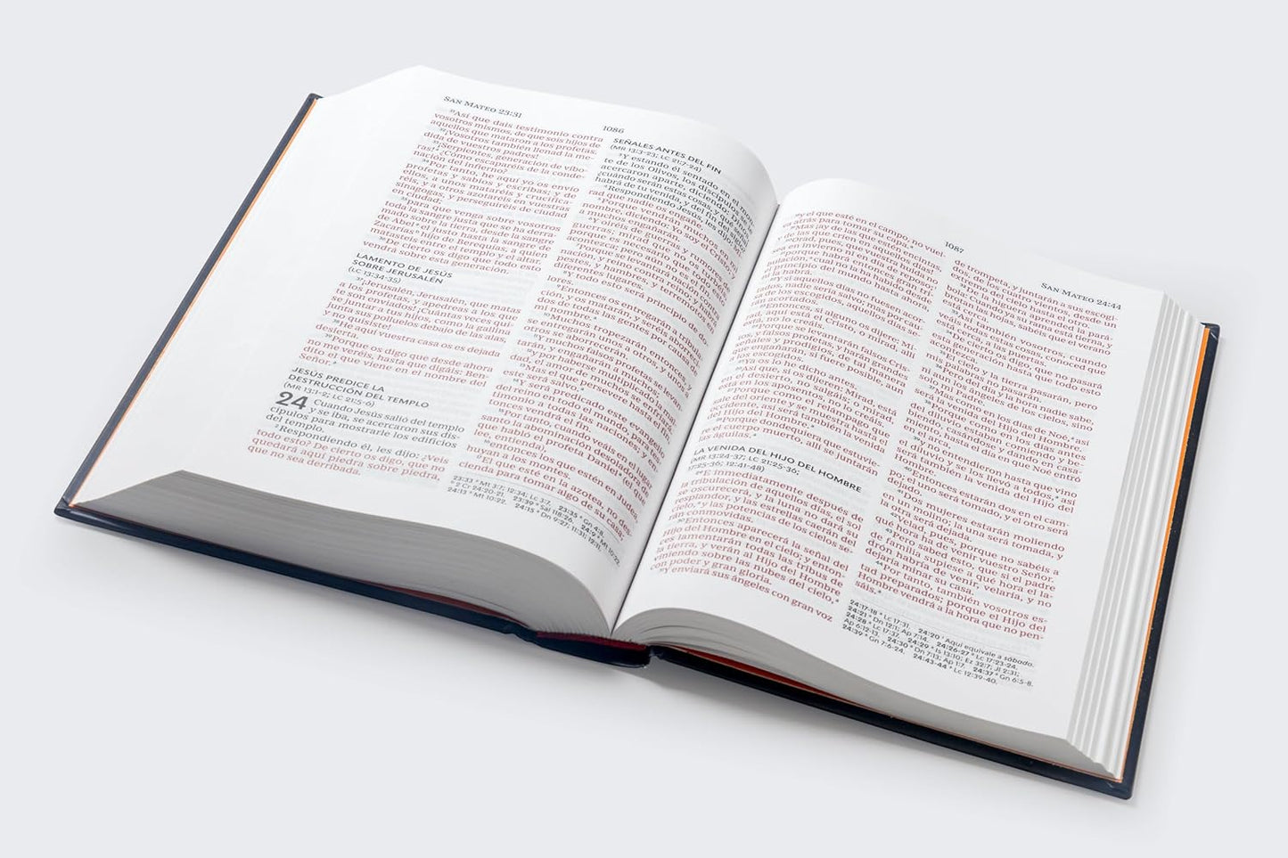 Biblia RVR60 Premios y Regalos ISAÍAS 53 | Letra Grande Comfort Print
