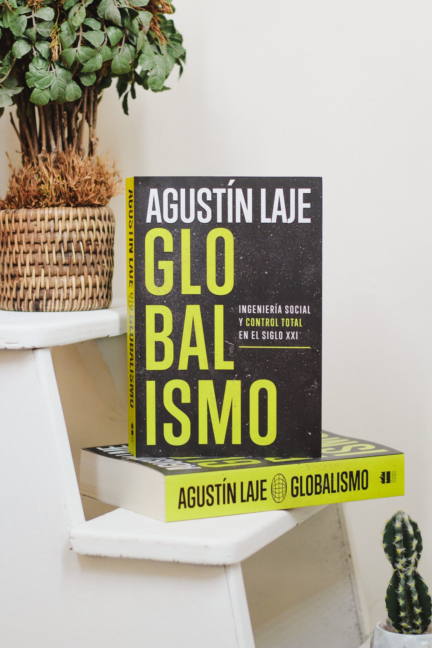 Globalismo | Ingeniería Social y Control Total en el Siglo XXI