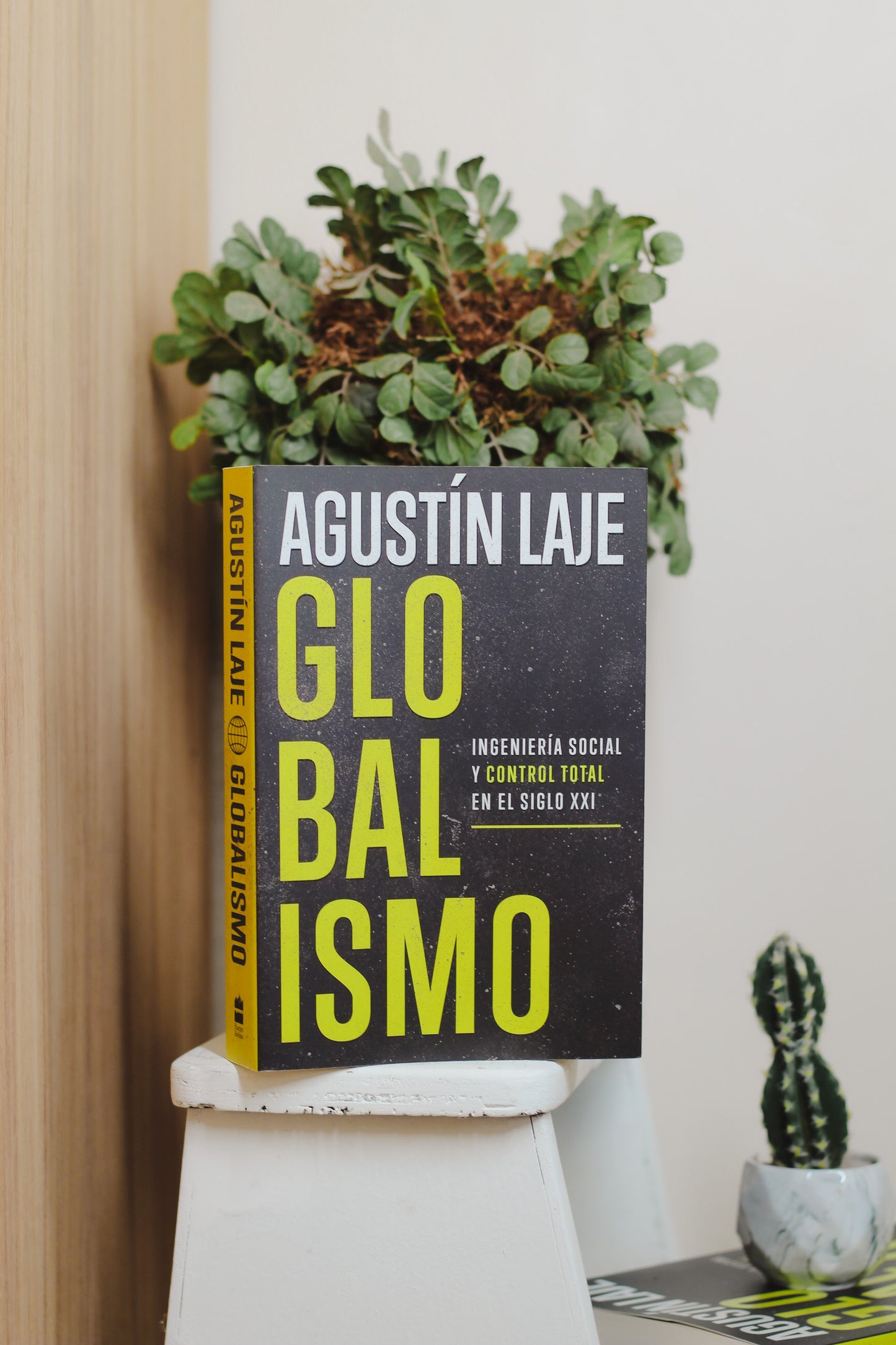 Globalismo | Ingeniería Social y Control Total en el Siglo XXI