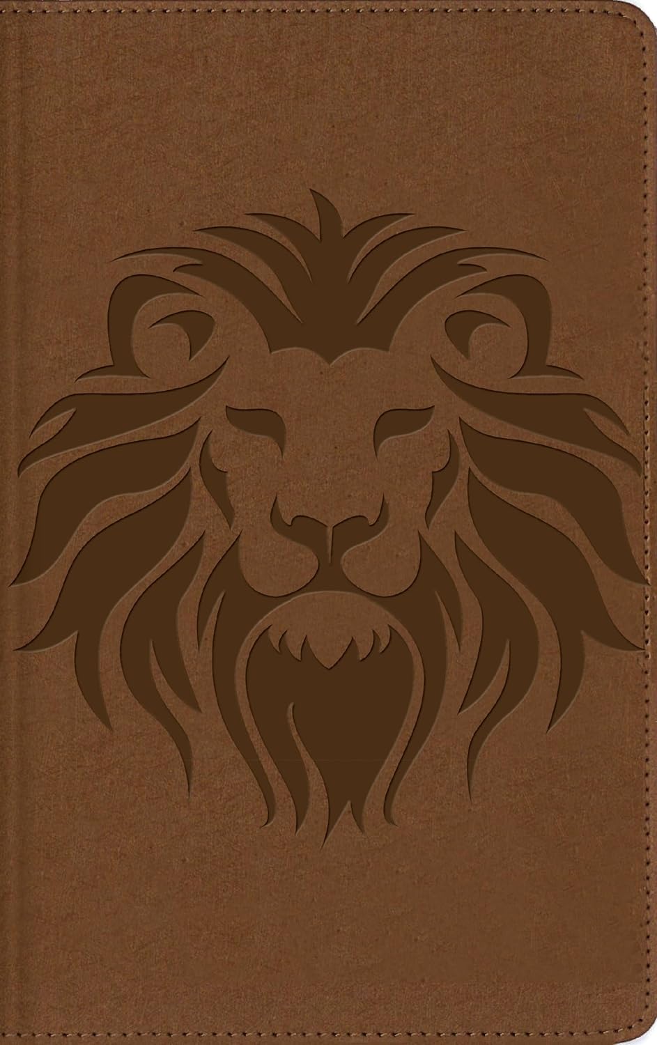 Biblia Visual de Estudio para Niños NBLA - Imitación Piel Café