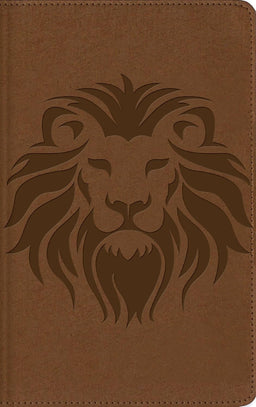 Biblia Visual de Estudio para Niños NBLA - Imitación Piel Café