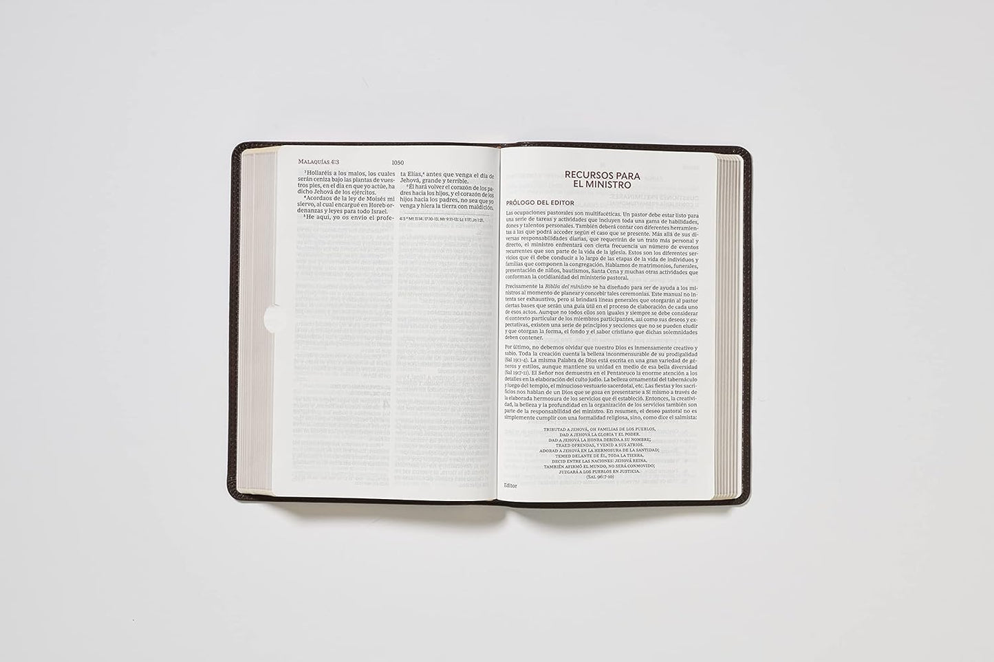 Biblia del Ministro NBLA - Leathersoft Café, Letra Gigante