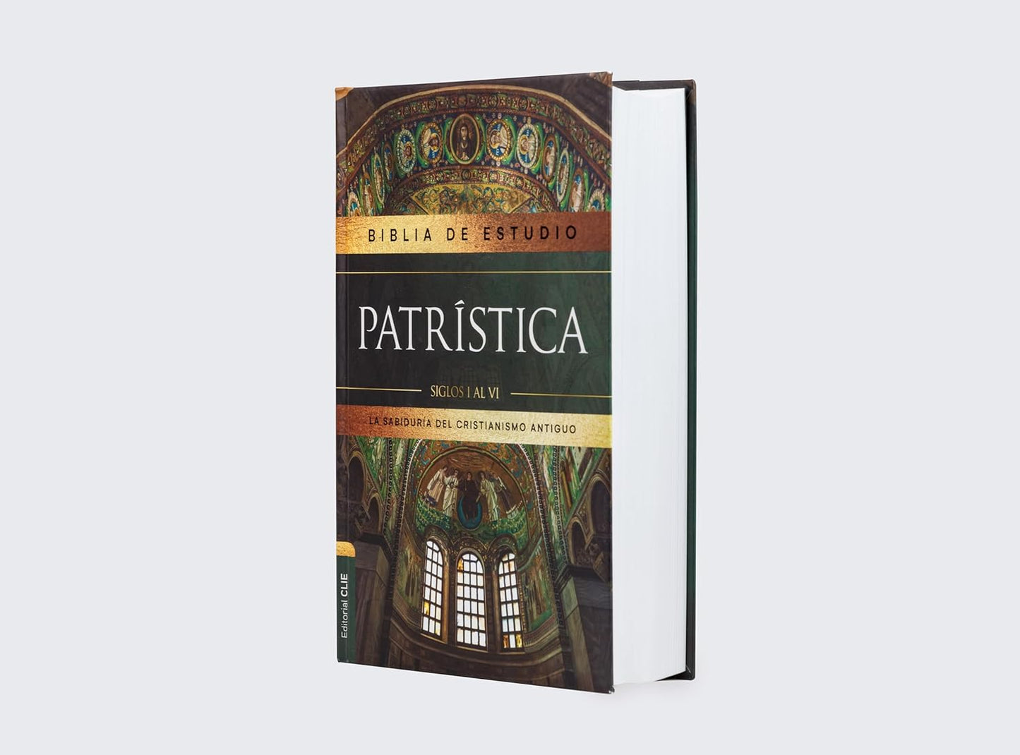Biblia RVR60 de Estudio Patrística