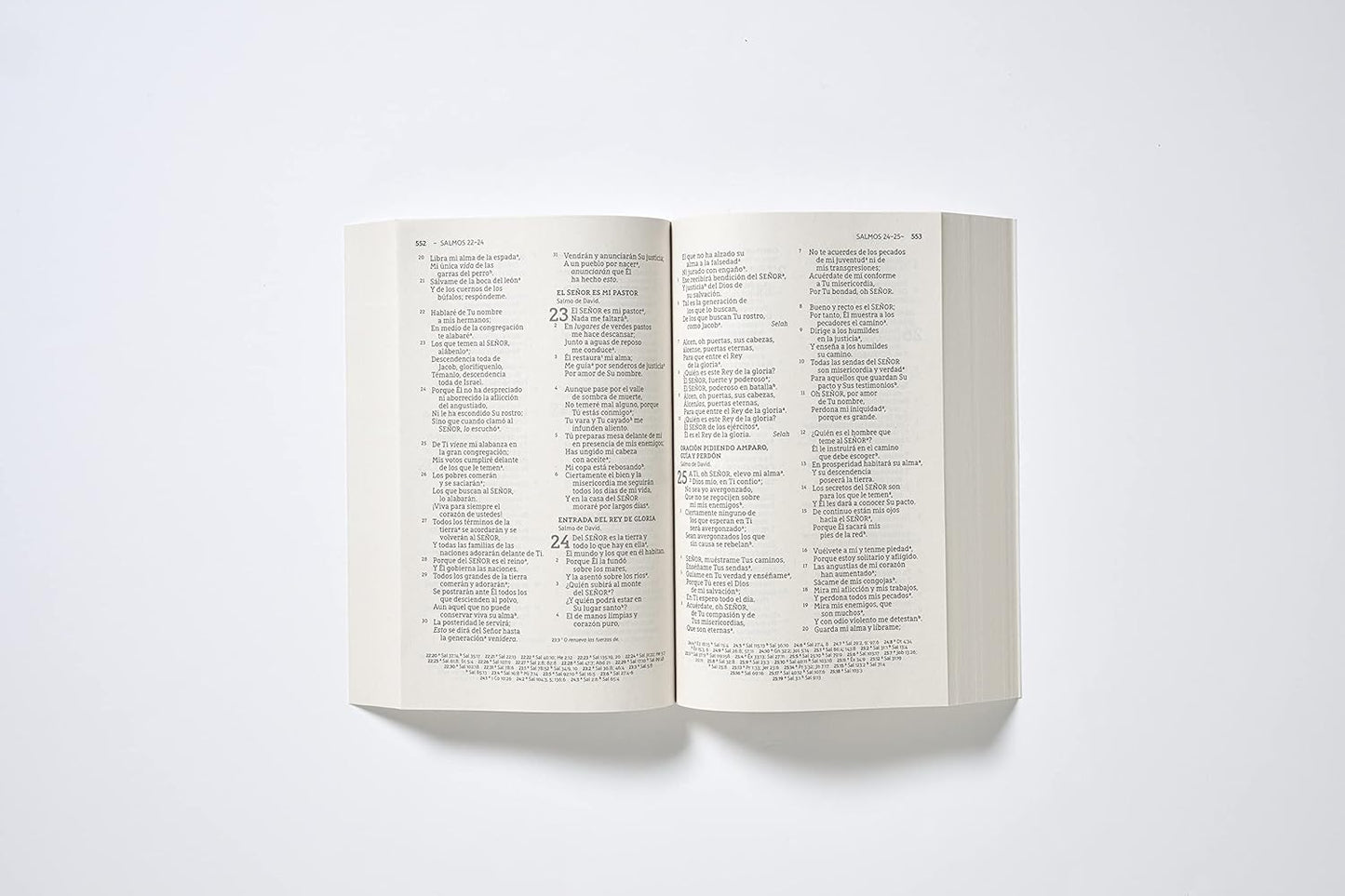 Biblia NBLA Edición misionera Letra Grande