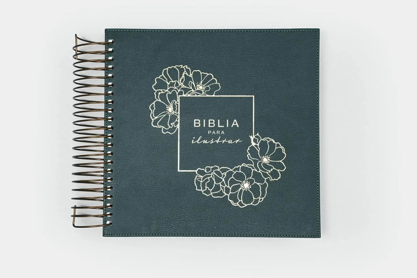 Biblia Reina Valera 1960 Para Ilustrar Color verde