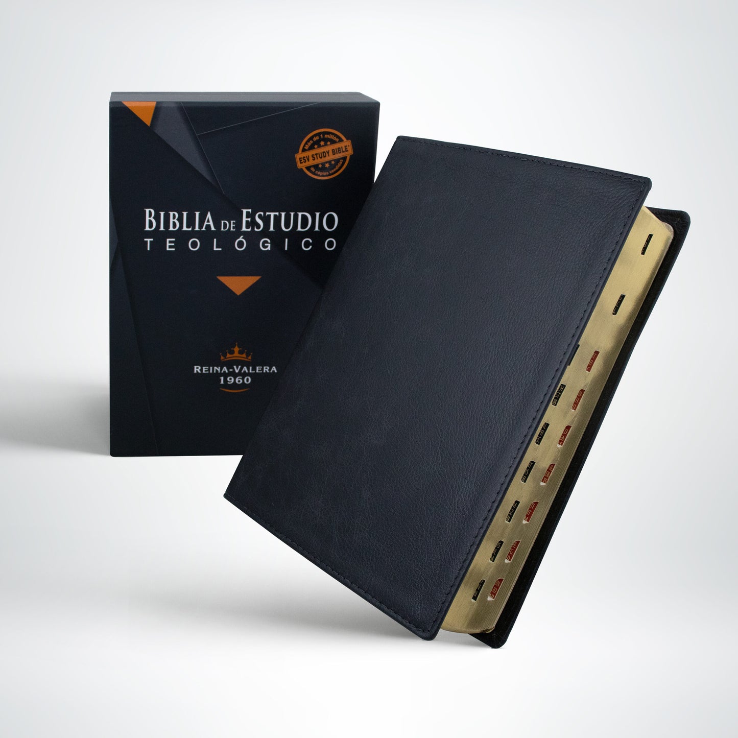 Biblia De Estudio Teologico/RVR089cTILGEE/Negro Indice Piel