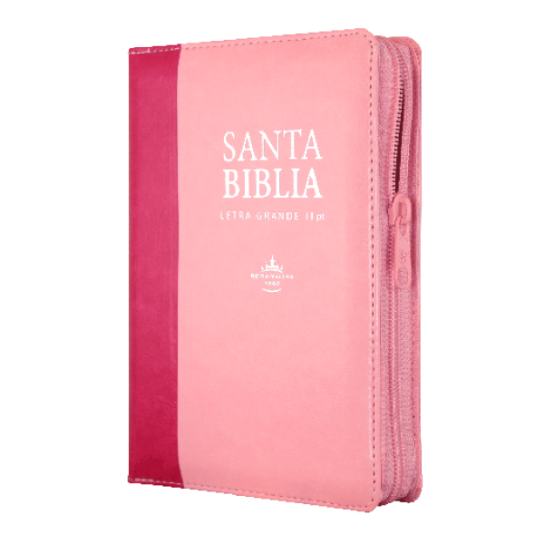 Biblia Reina Valera 1960 046 Letra Grande