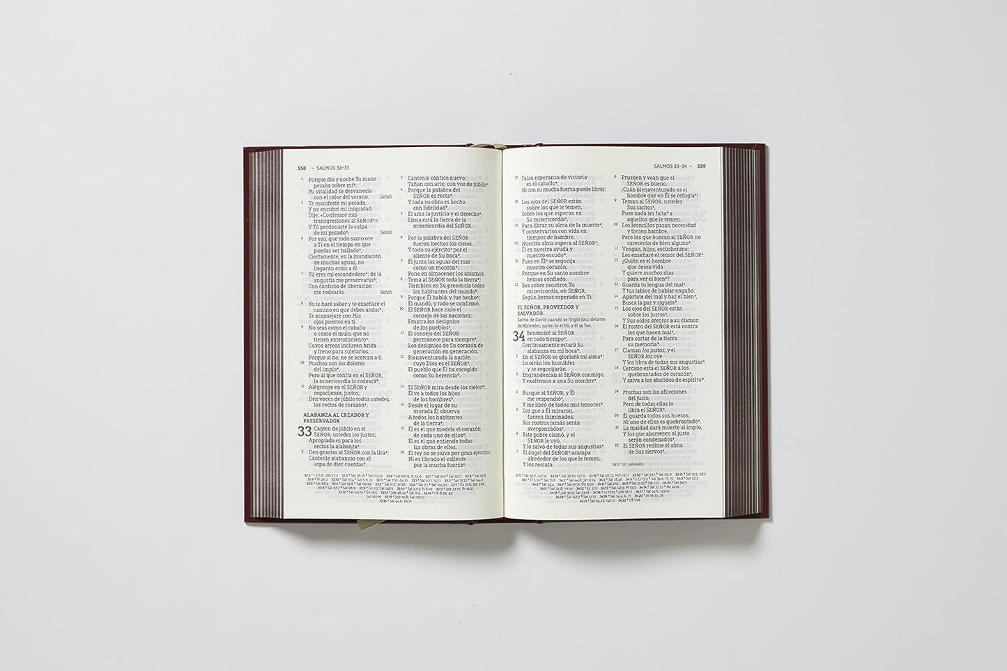 Biblia NBLA Sola Scriptura Letra Grande Tapa Dura