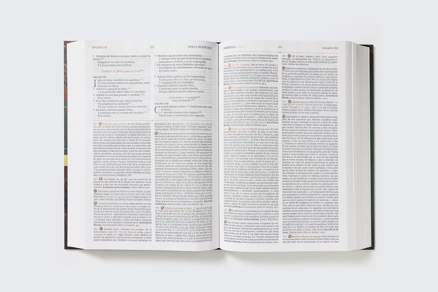Biblia RVR60 de Estudio Patrística TD