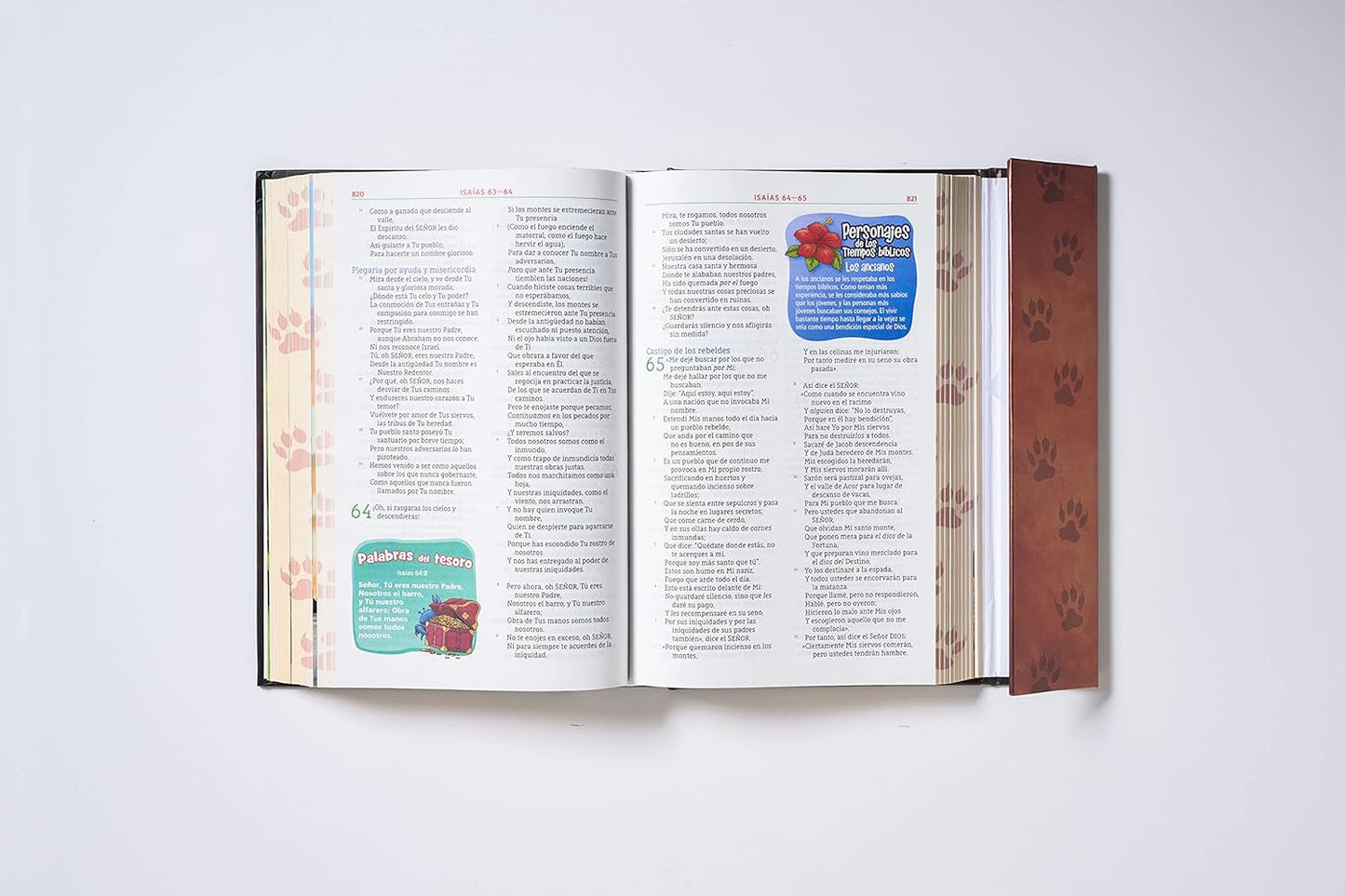 Biblia NBLA Aventura para Niños - Tapa Dura a Todo Color