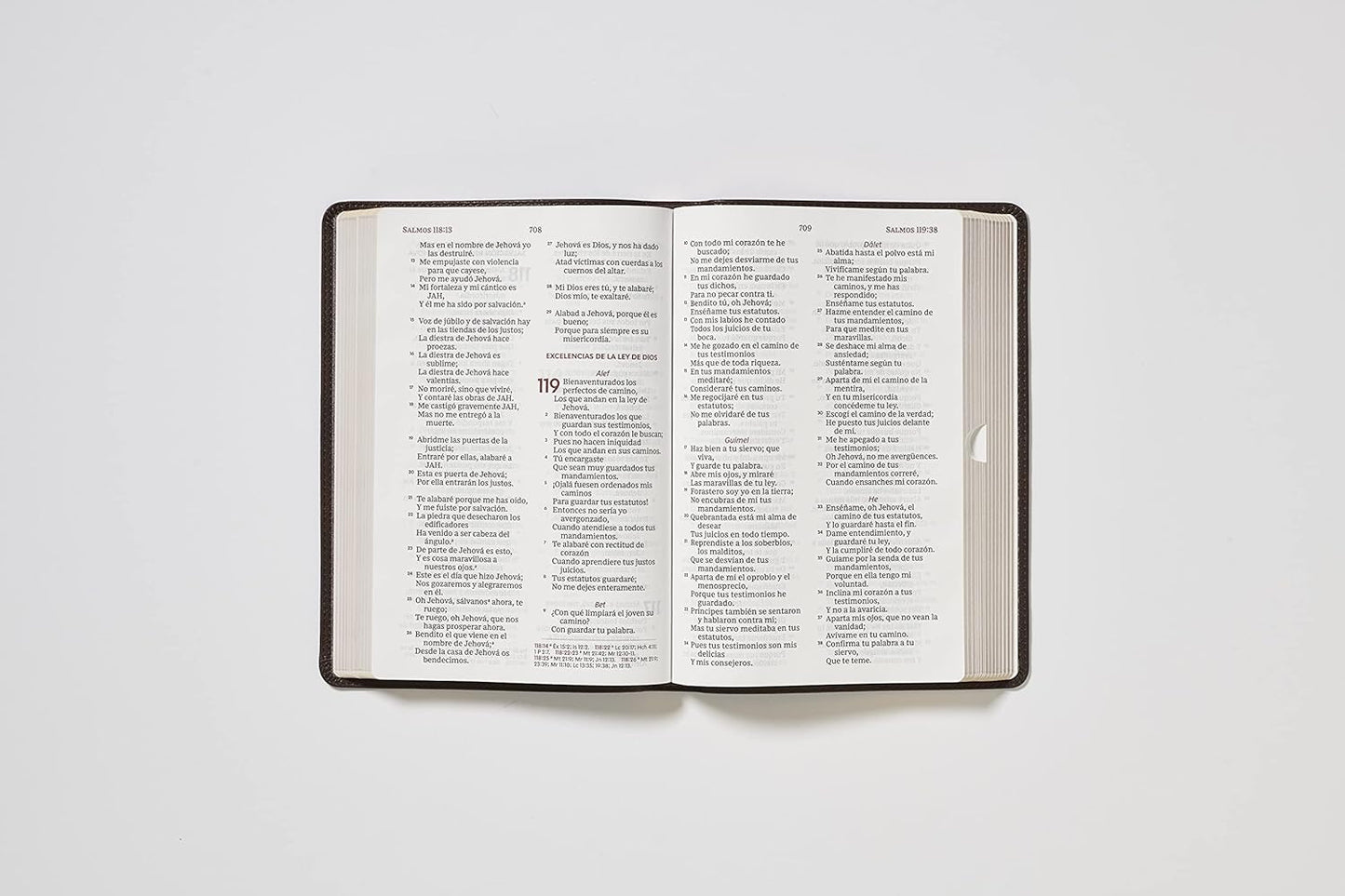 Biblia del Ministro NBLA - Leathersoft Café, Letra Gigante