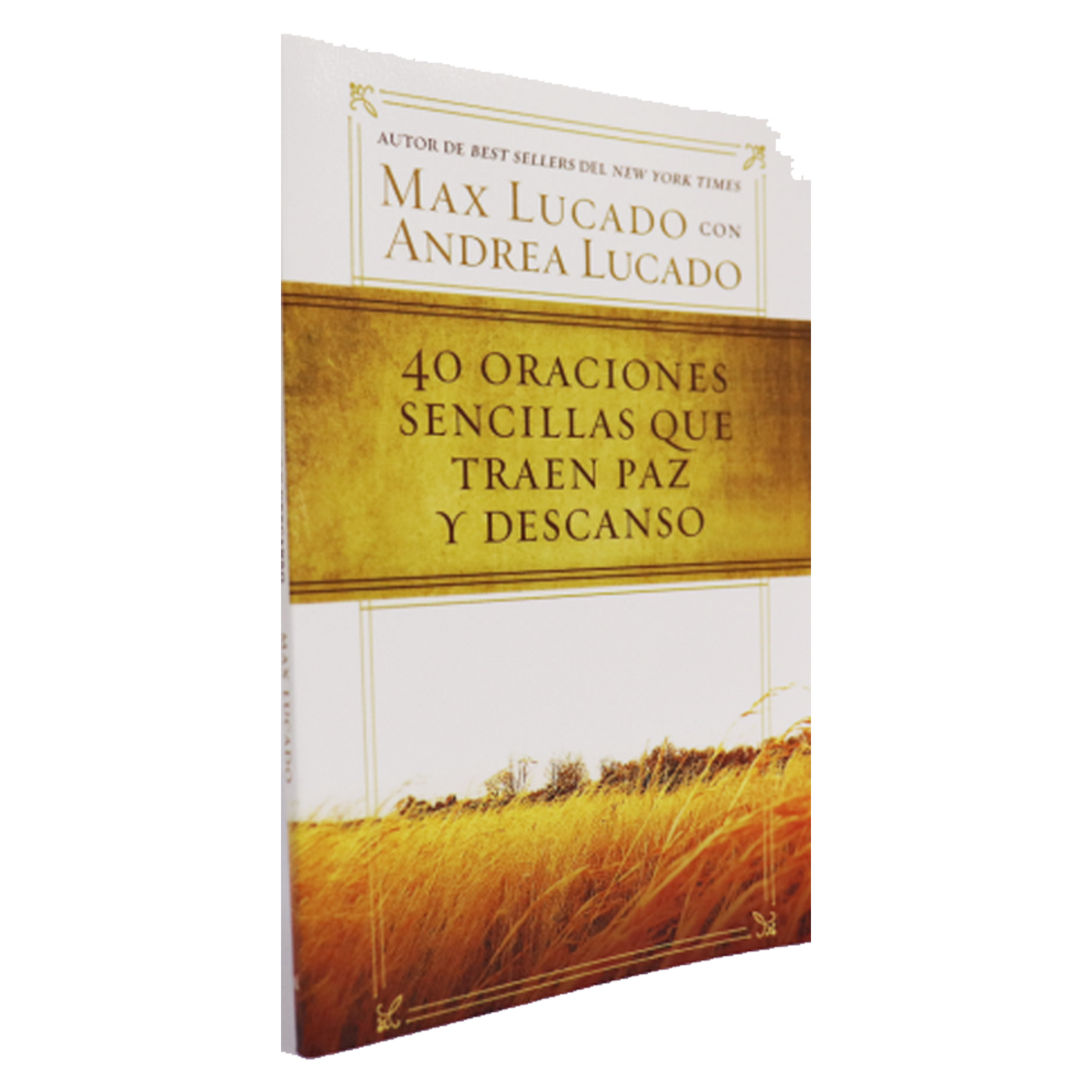 40 ORACIONES SIMPLES QUE BRINDAN PAZ Y DESCANSO