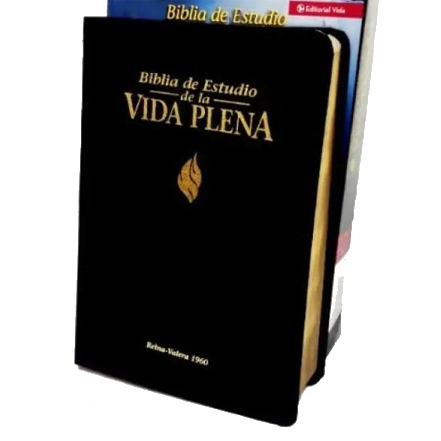 BIBLIA RVR DE ESTUDIO VIDA PLENA TAPA DURA COLOR NEGRO