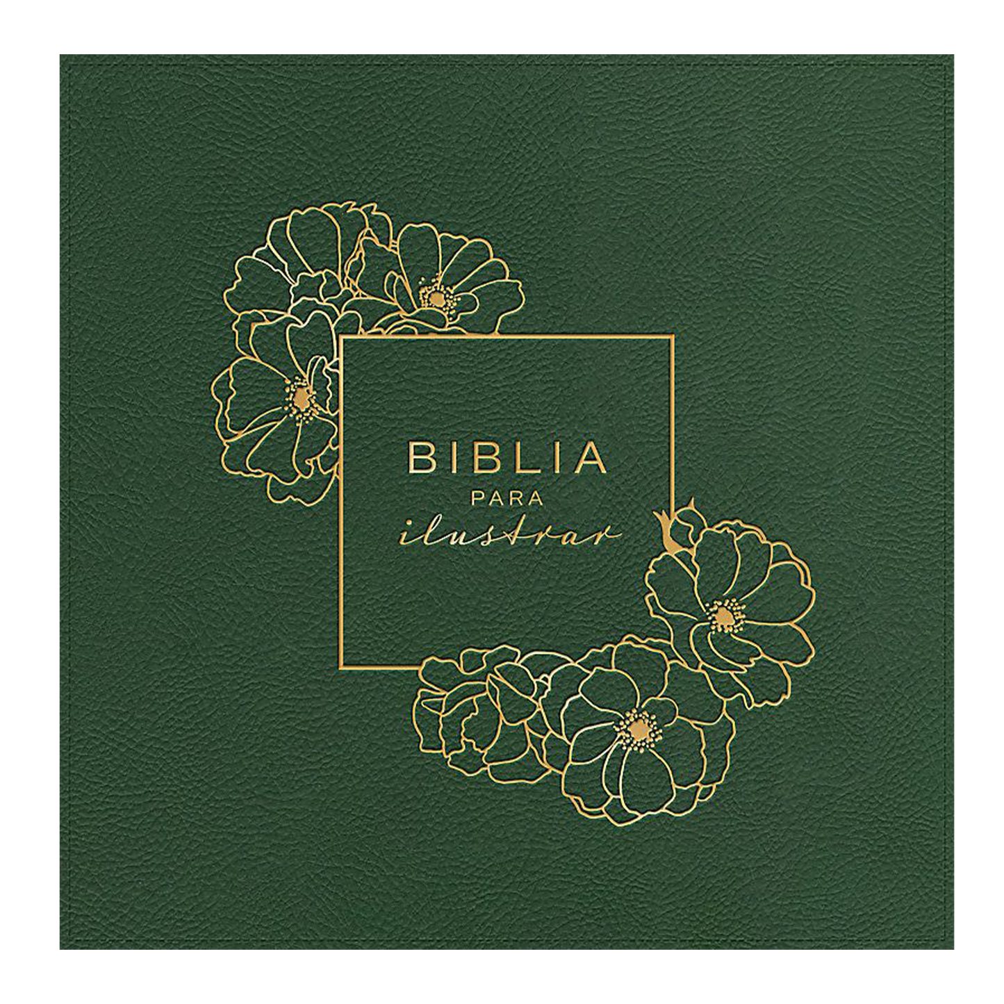 BIBLIA PARA ILUSTRAR VERDE RVR1960