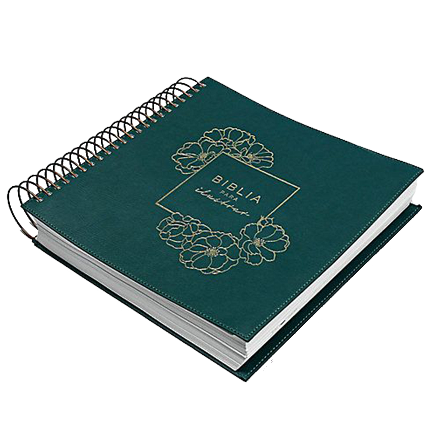 BIBLIA PARA ILUSTRAR VERDE RVR1960